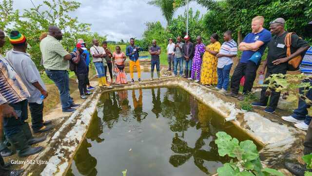 Subcontractors in Liberia - Implementation-Phase Risk & Issue Support